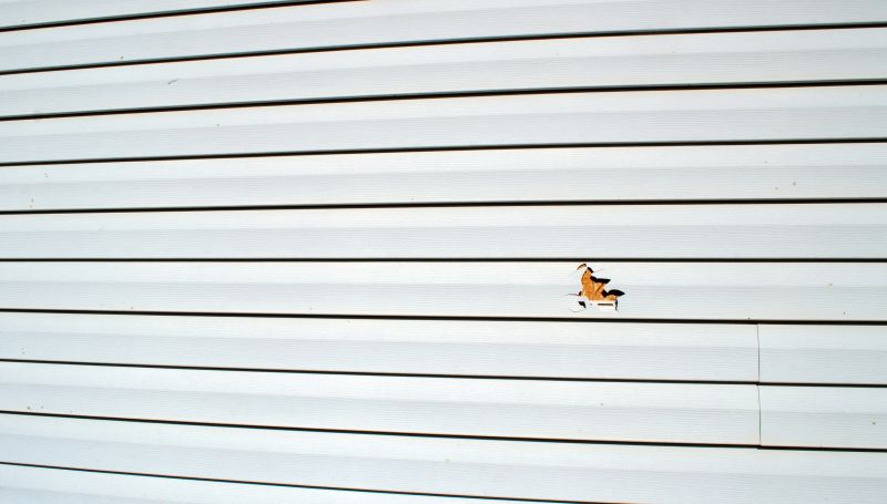 Siding Repair Preparation